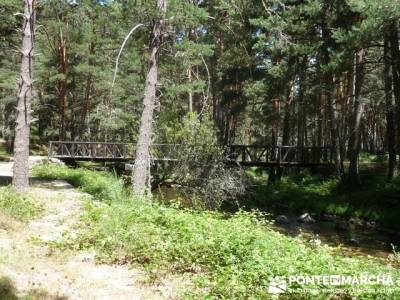 Las Pesquerías Reales - Senderismo Segovia (Ruta de las Pesquerías Reales); sendero verde